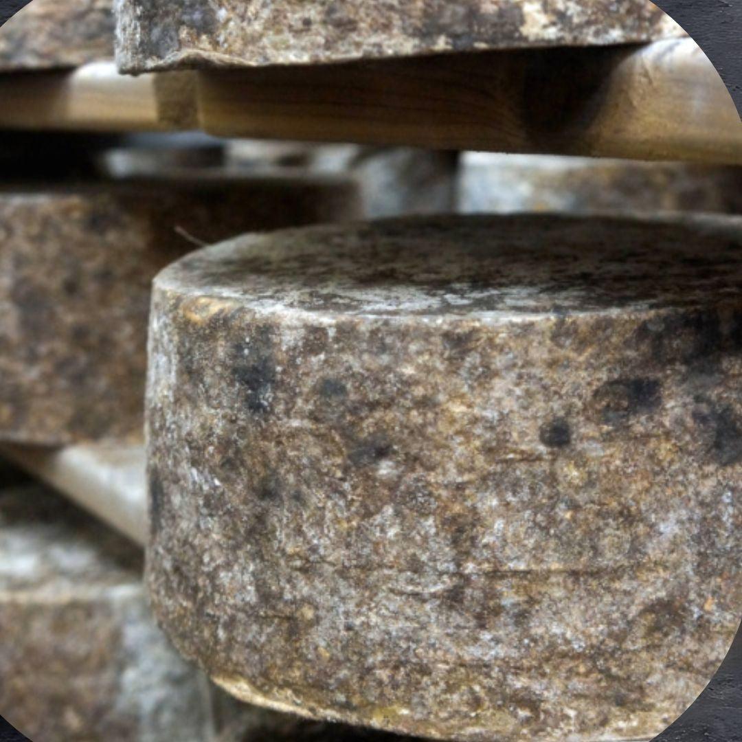 Bleu Mont Bandaged Cheddar