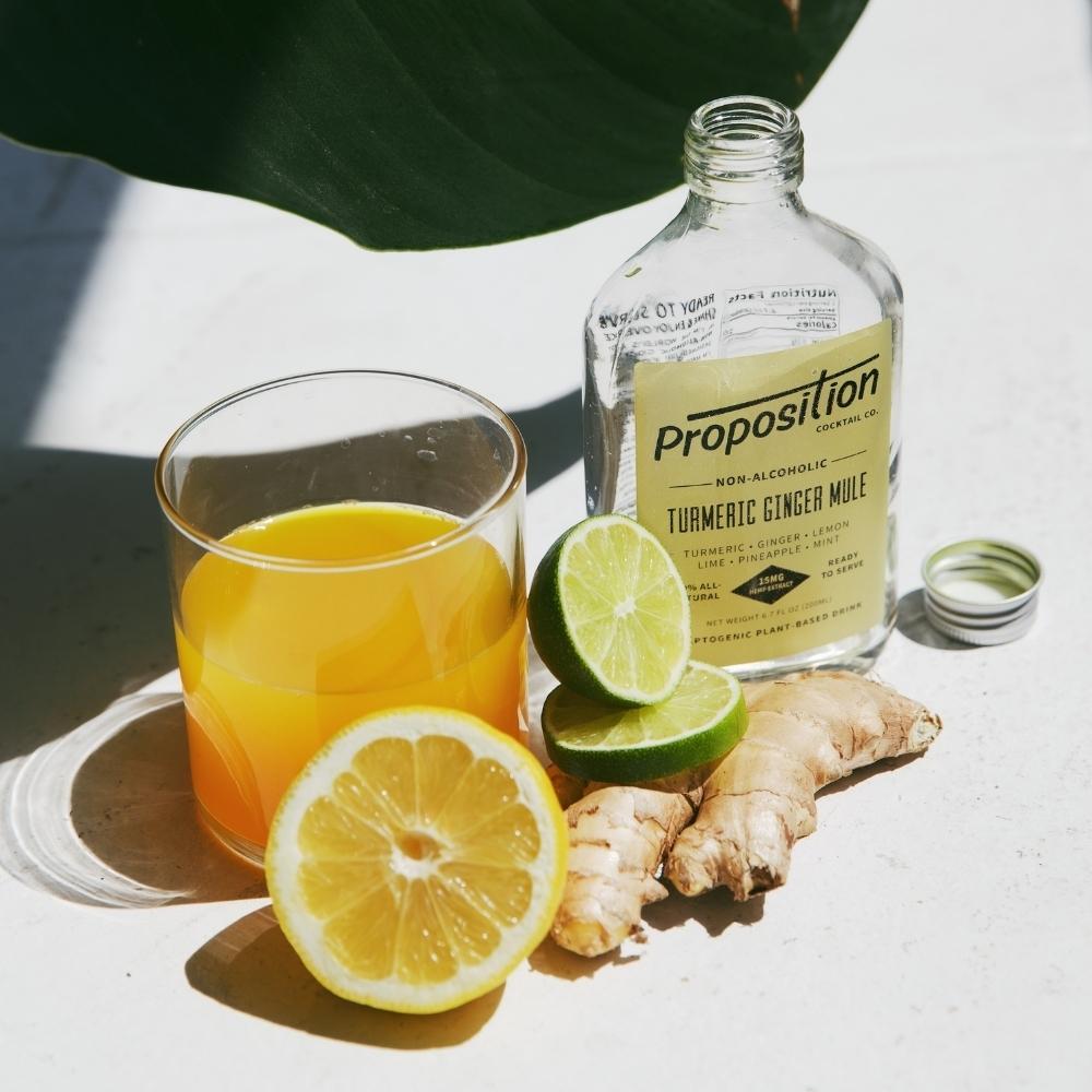 Proposition Cocktail Co Turmeric Ginger Mule 6.7oz